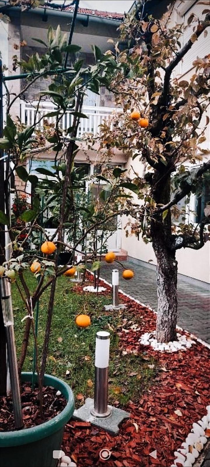 Ferienwohnung Soba Luic Zupanja Exterior foto
